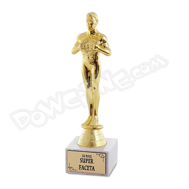 Statuetka Wiktor BH 033 - Za rolę Super Faceta
