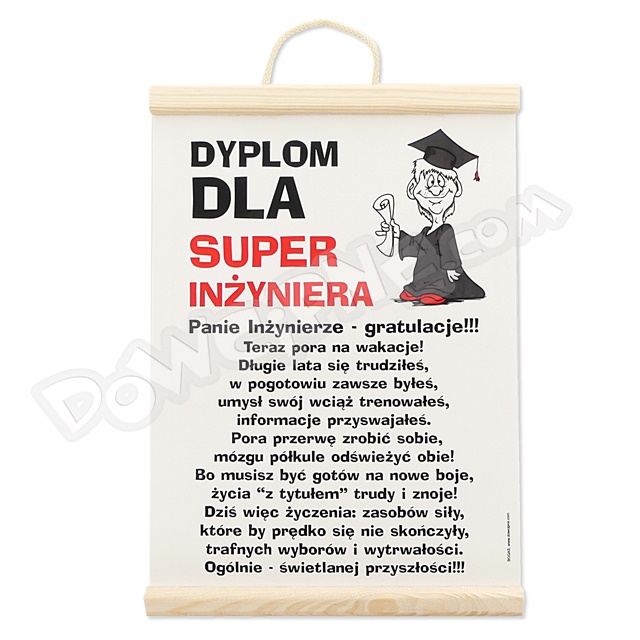 Dyplom 117 - Super Inżyniera on