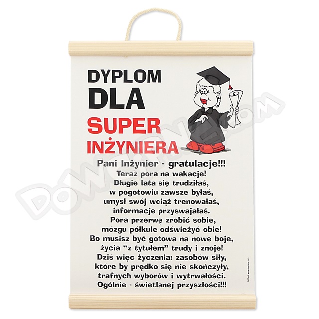 Dyplom 114 - Super Inżyniera ona